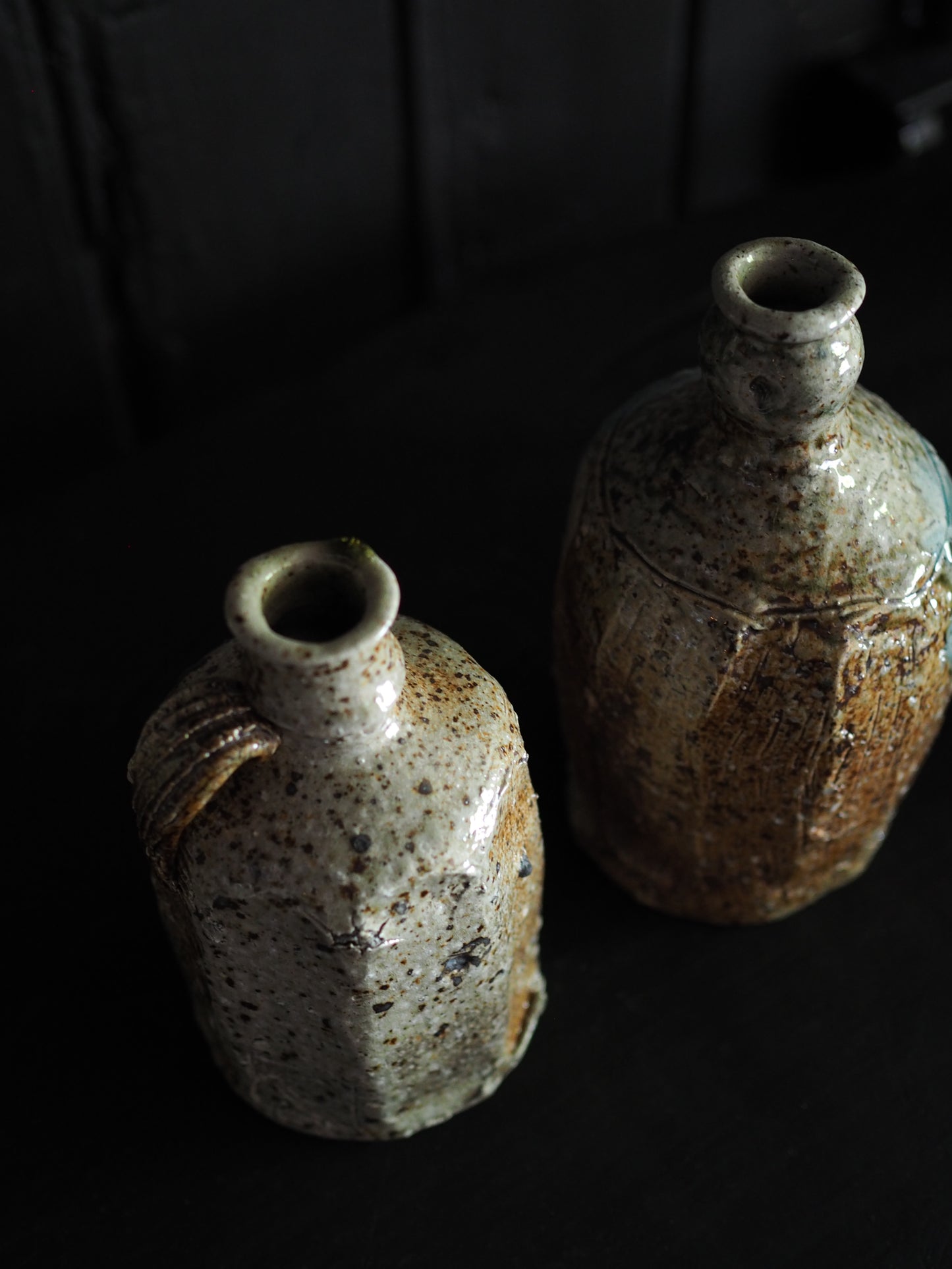 Bottle Vase ver,11 / ver,12