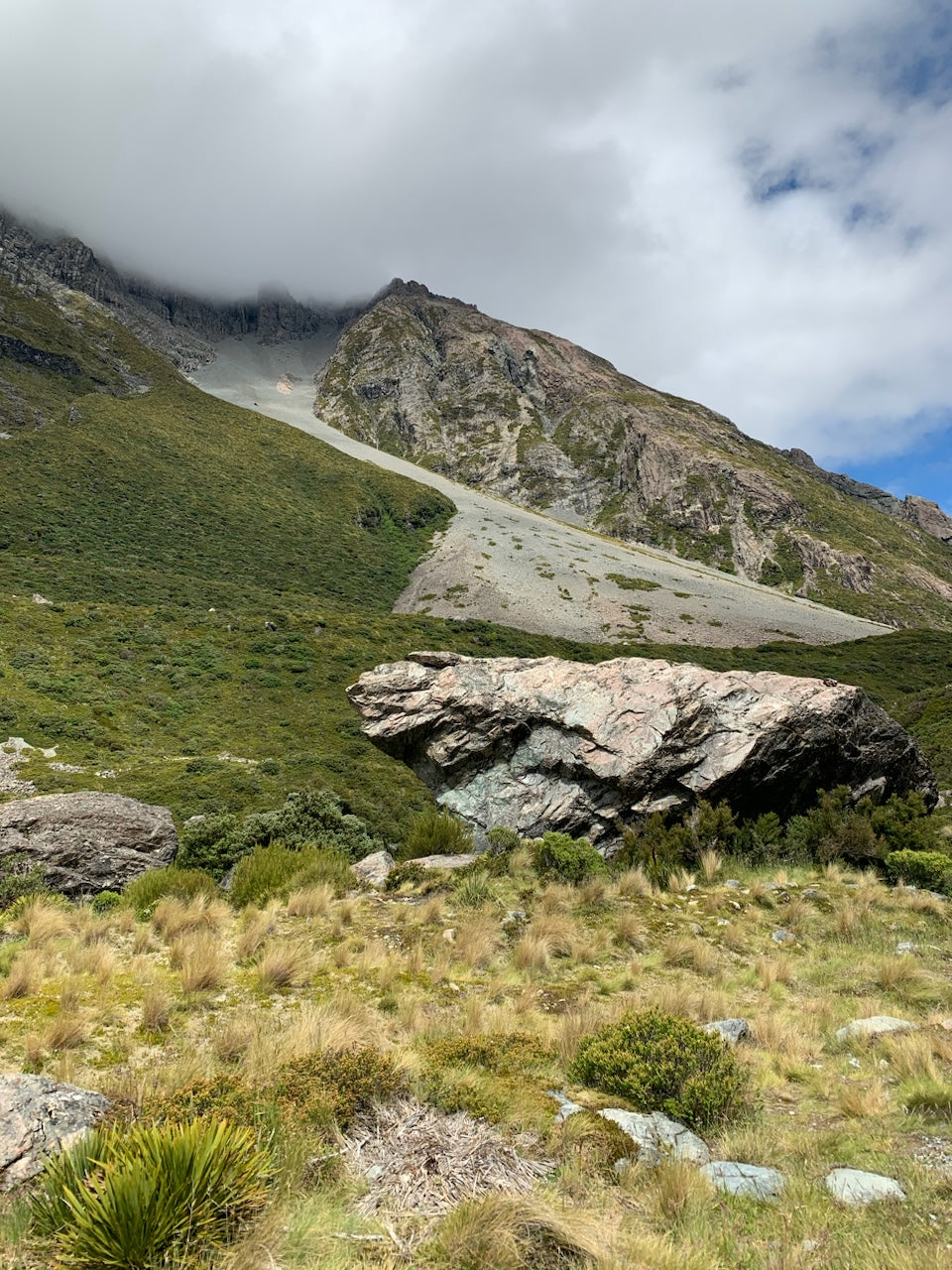 Kenichi Sasakawa - Nov 25' - Gallery Image