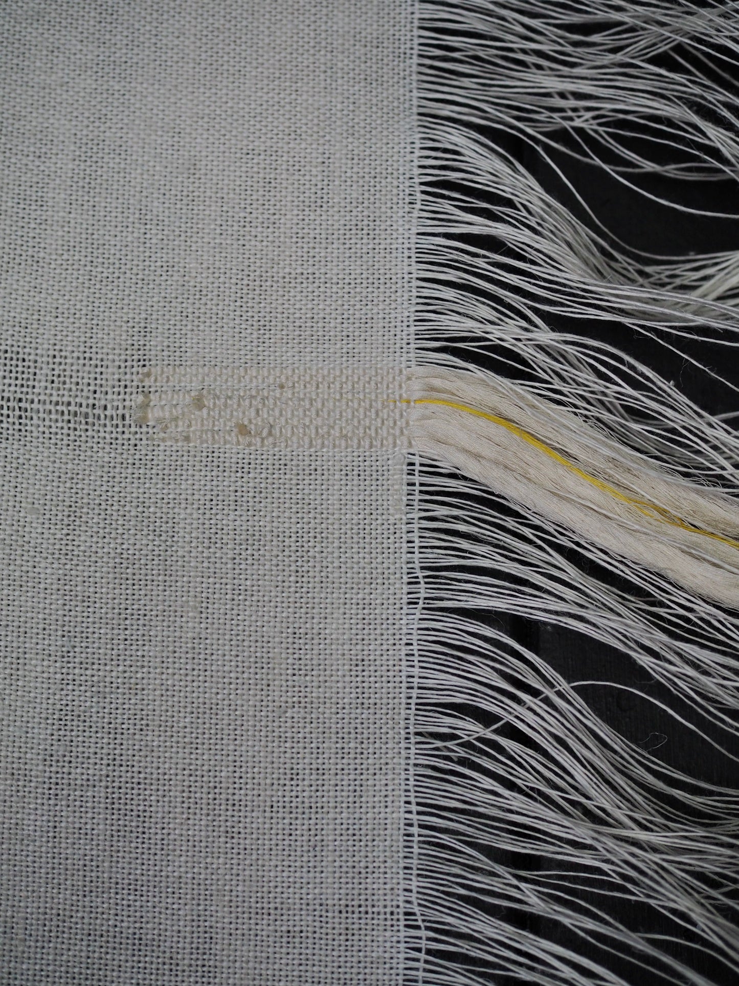 Tiny Yellow Tapestry