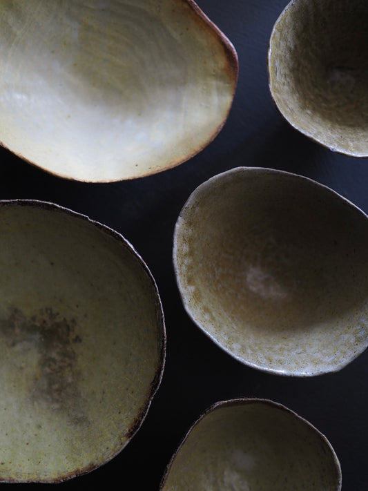 Land Vessel ver.4,ver.5