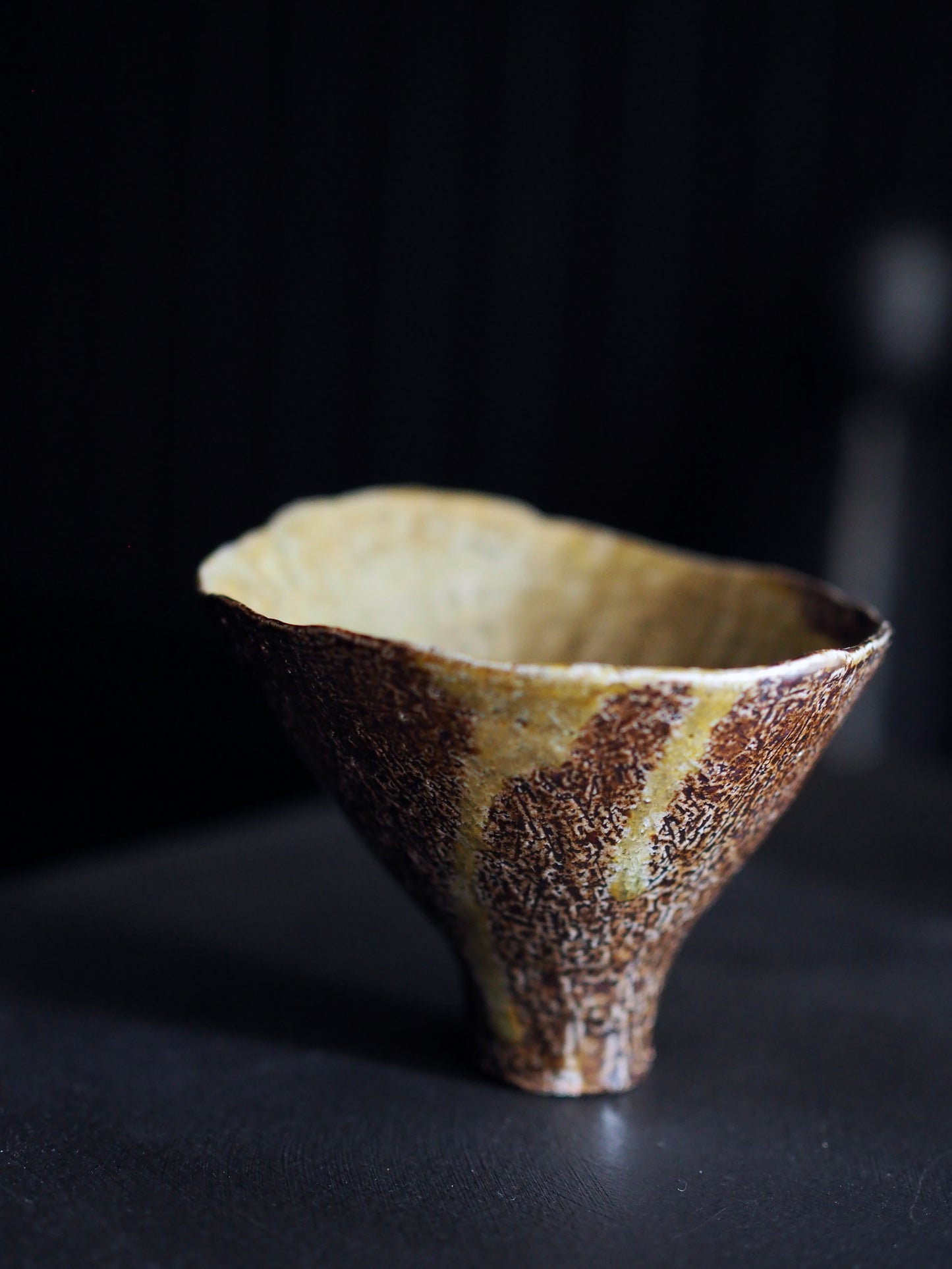 Land Vessel ver.4,ver.5