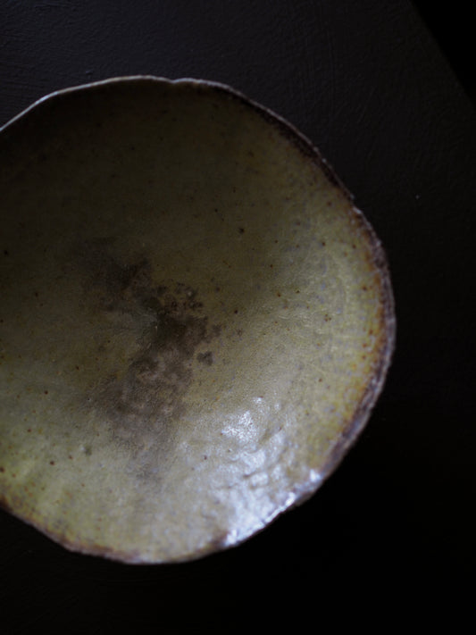 Land Vessel ver.1