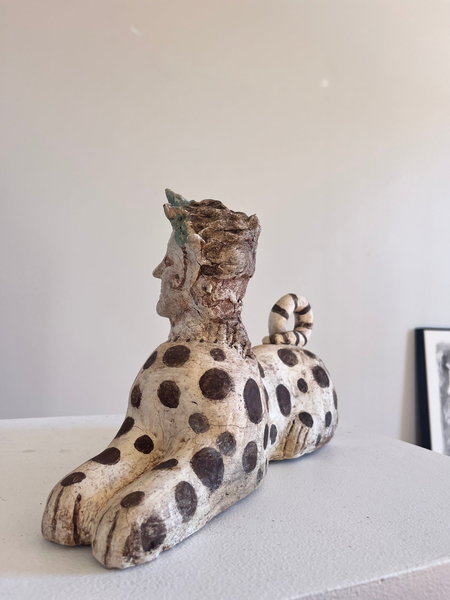 Spotted Sphinx