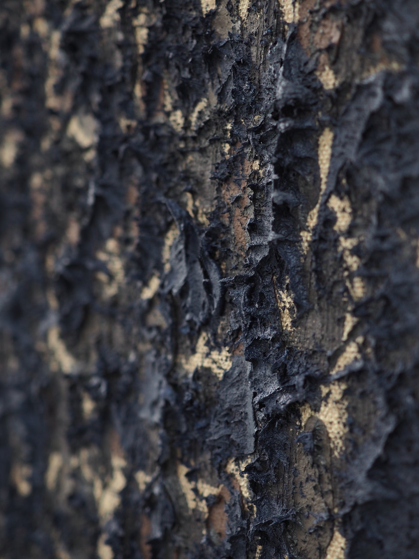 Everything And Nothing 2510, 2025