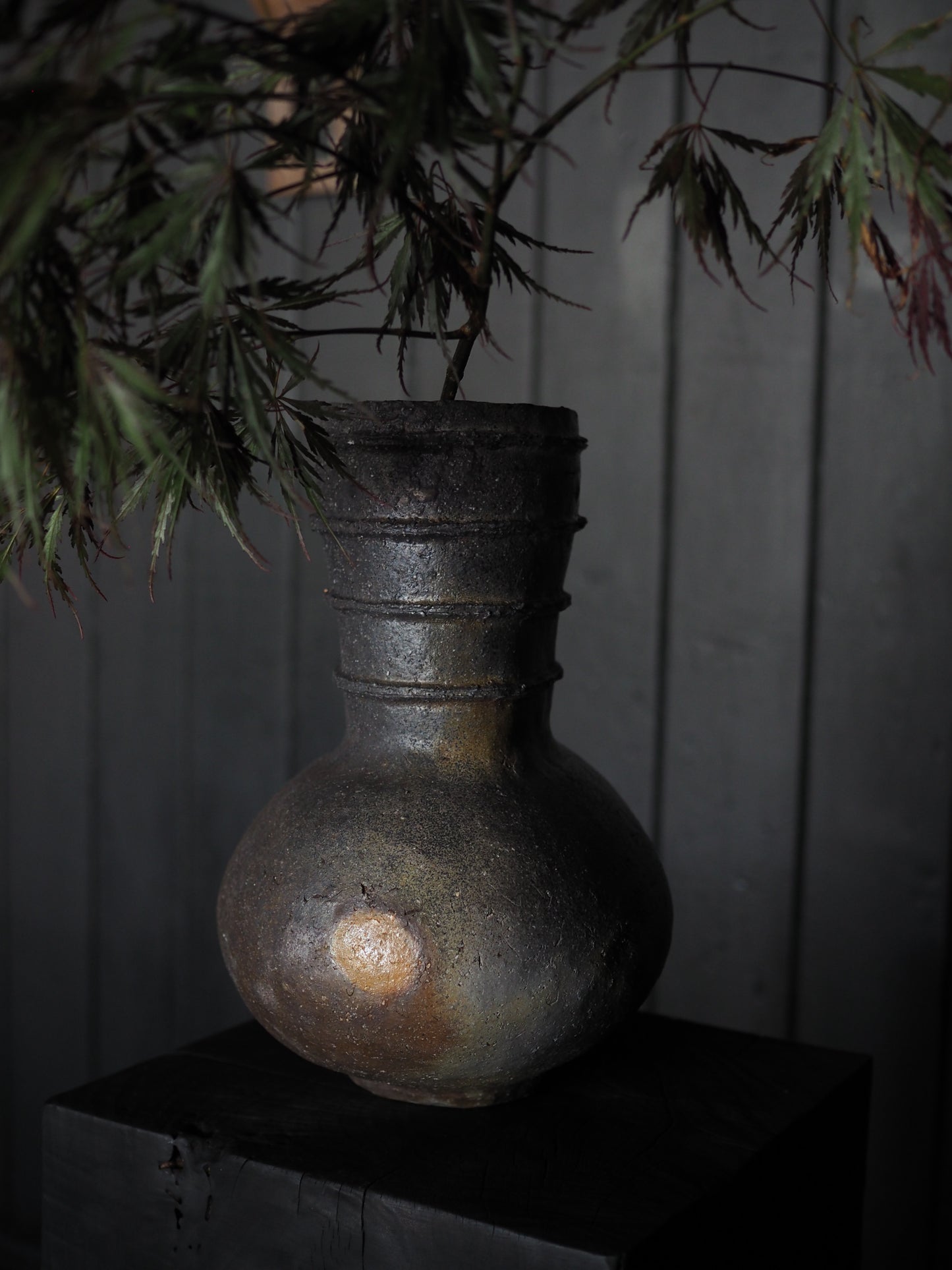 Bizen Jar ver.5