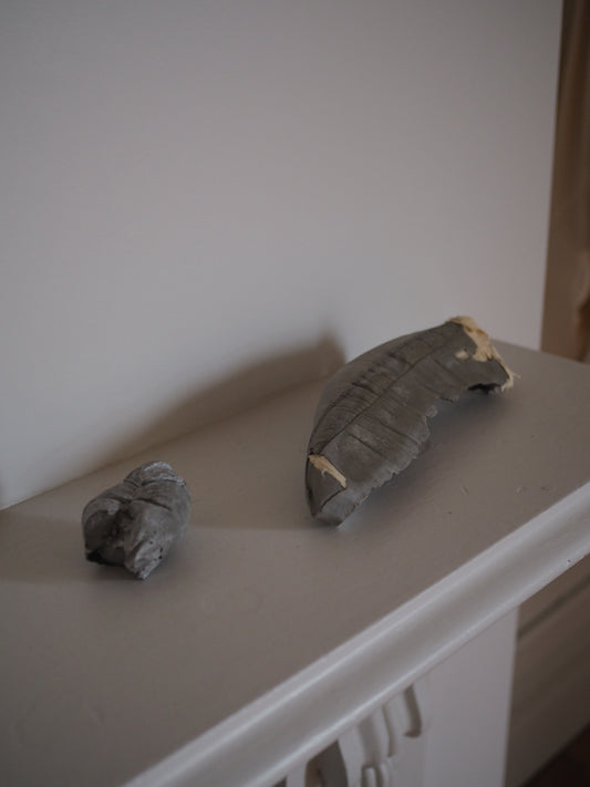 Cement 002 / 007