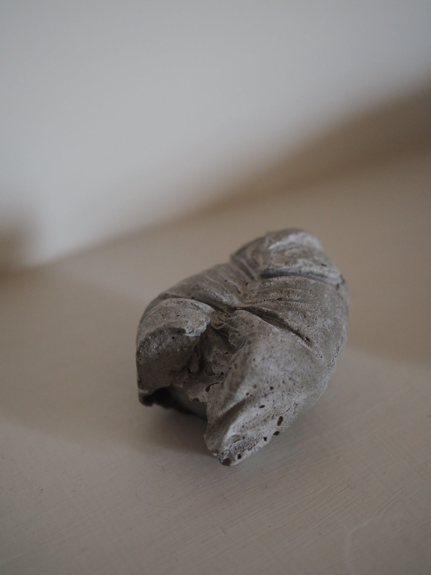 Cement 002 / 007