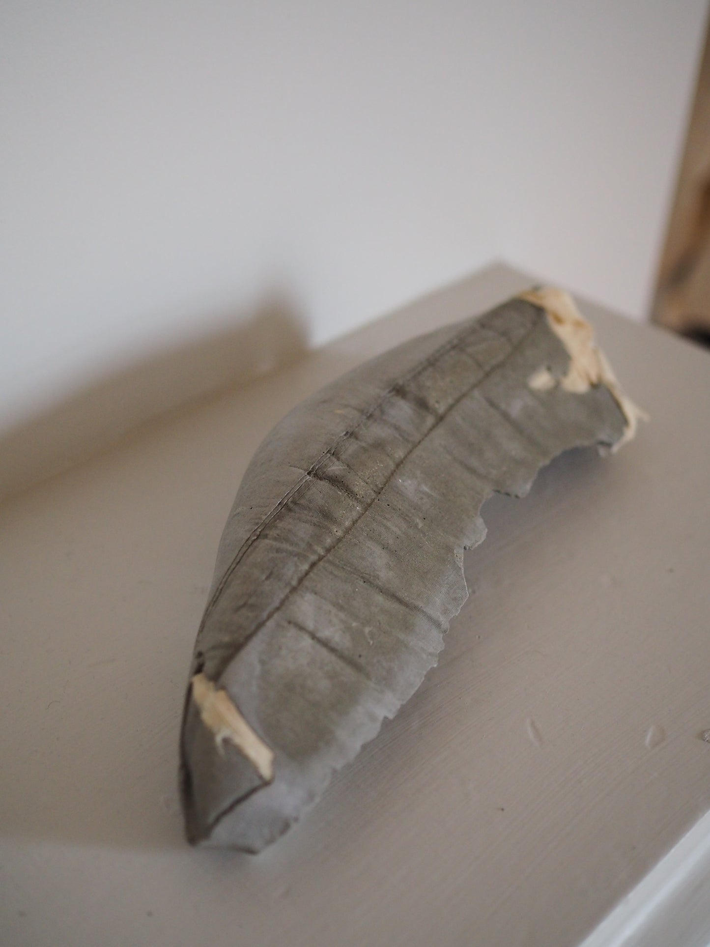 Cement 002 / 007