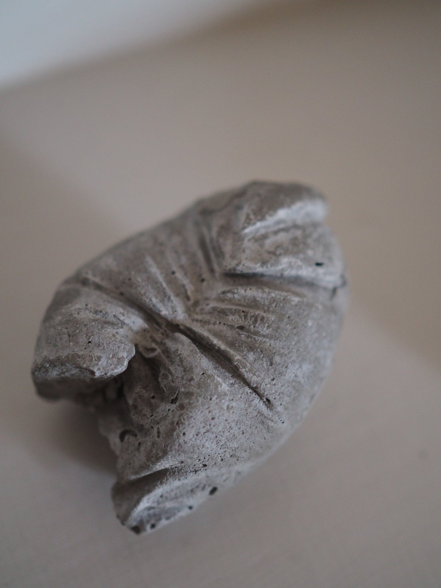 Cement 002 / 007