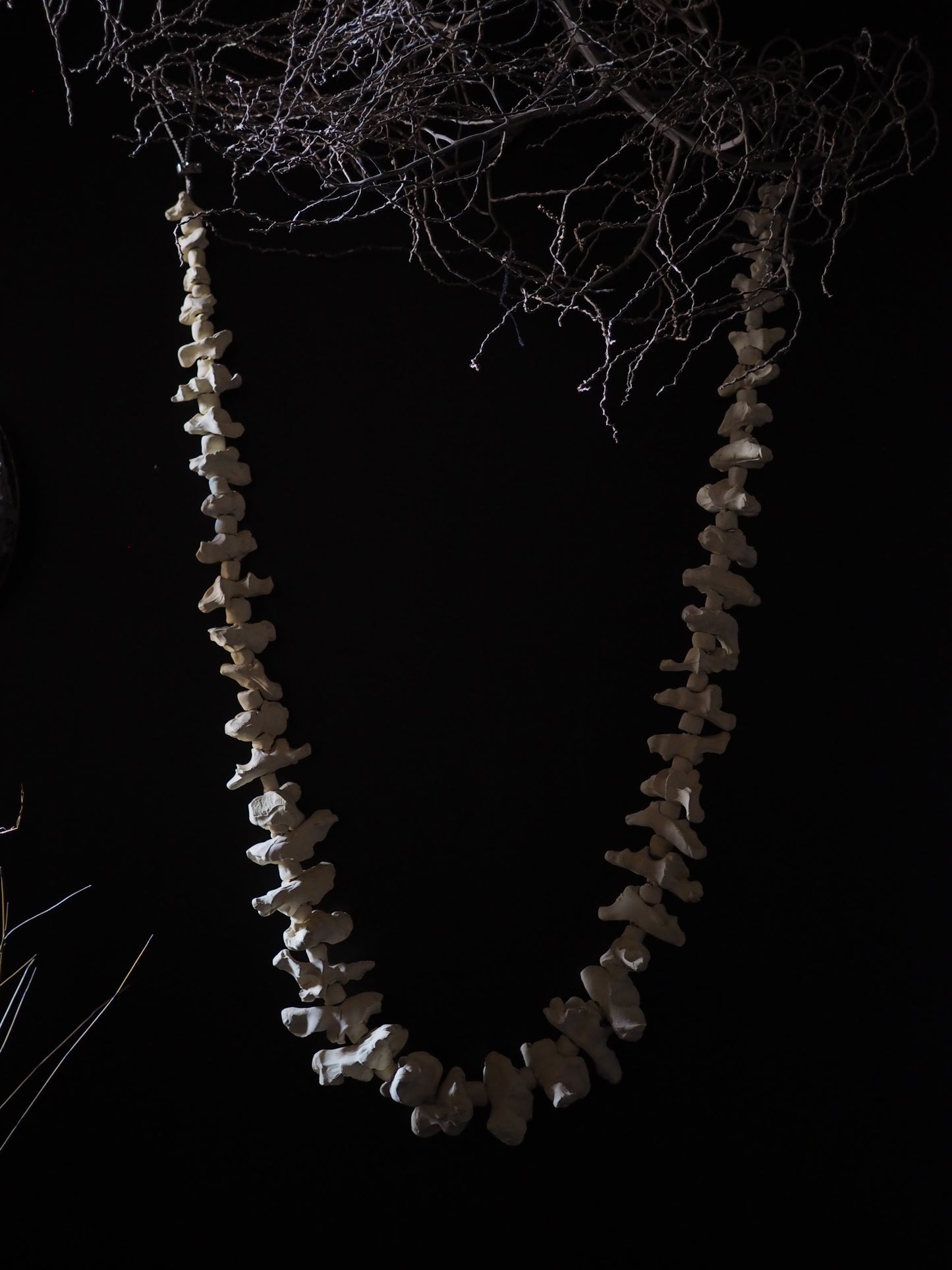 Lei of the land