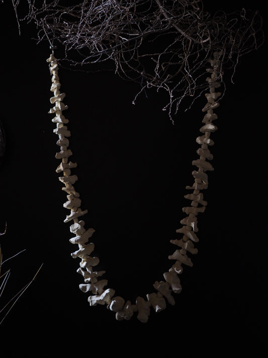 Lei of the land