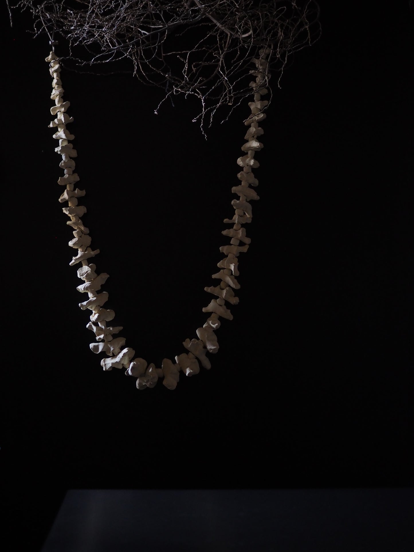 Lei of the land
