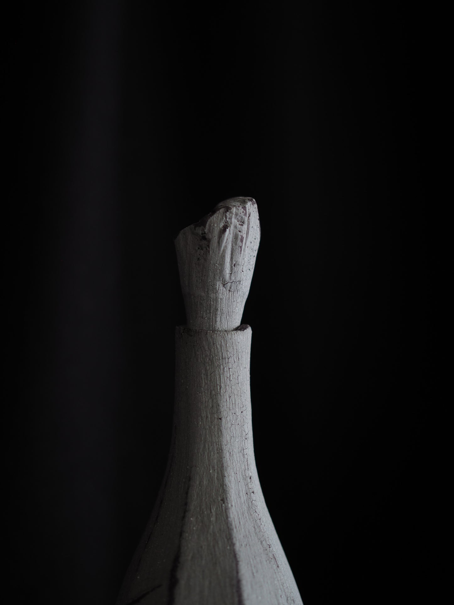 Still Life Bottle