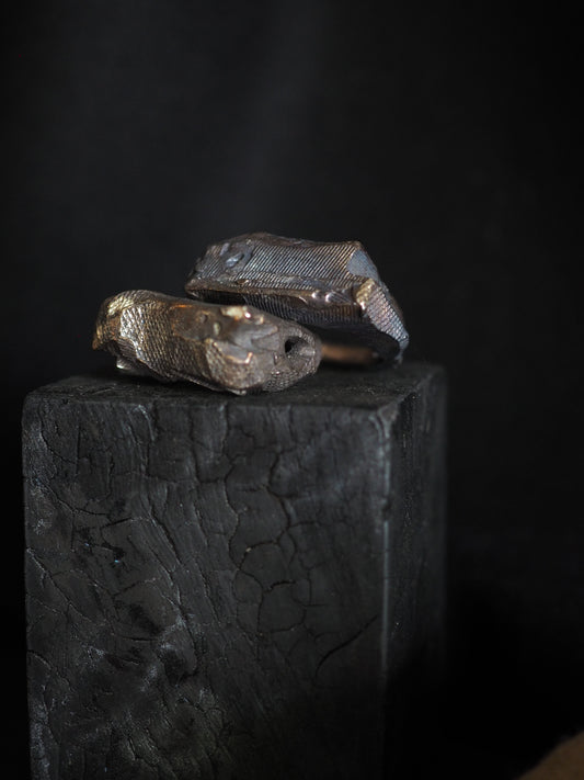 Ring ver.18 (top) or ver.19 (bottom)