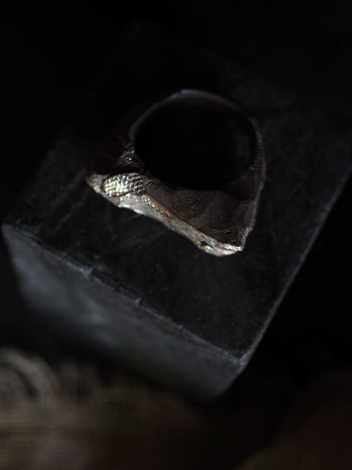 Ring ver.18 (top) or ver.19 (bottom)