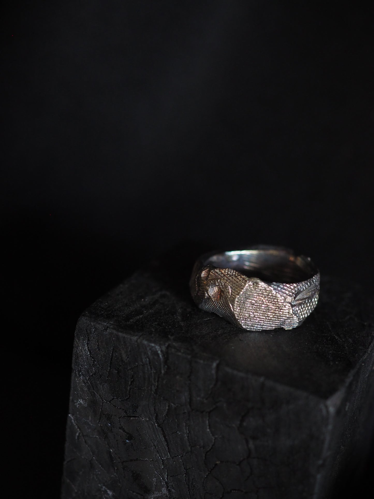 Ring ver.14 (top) or ver.15 (bottom)