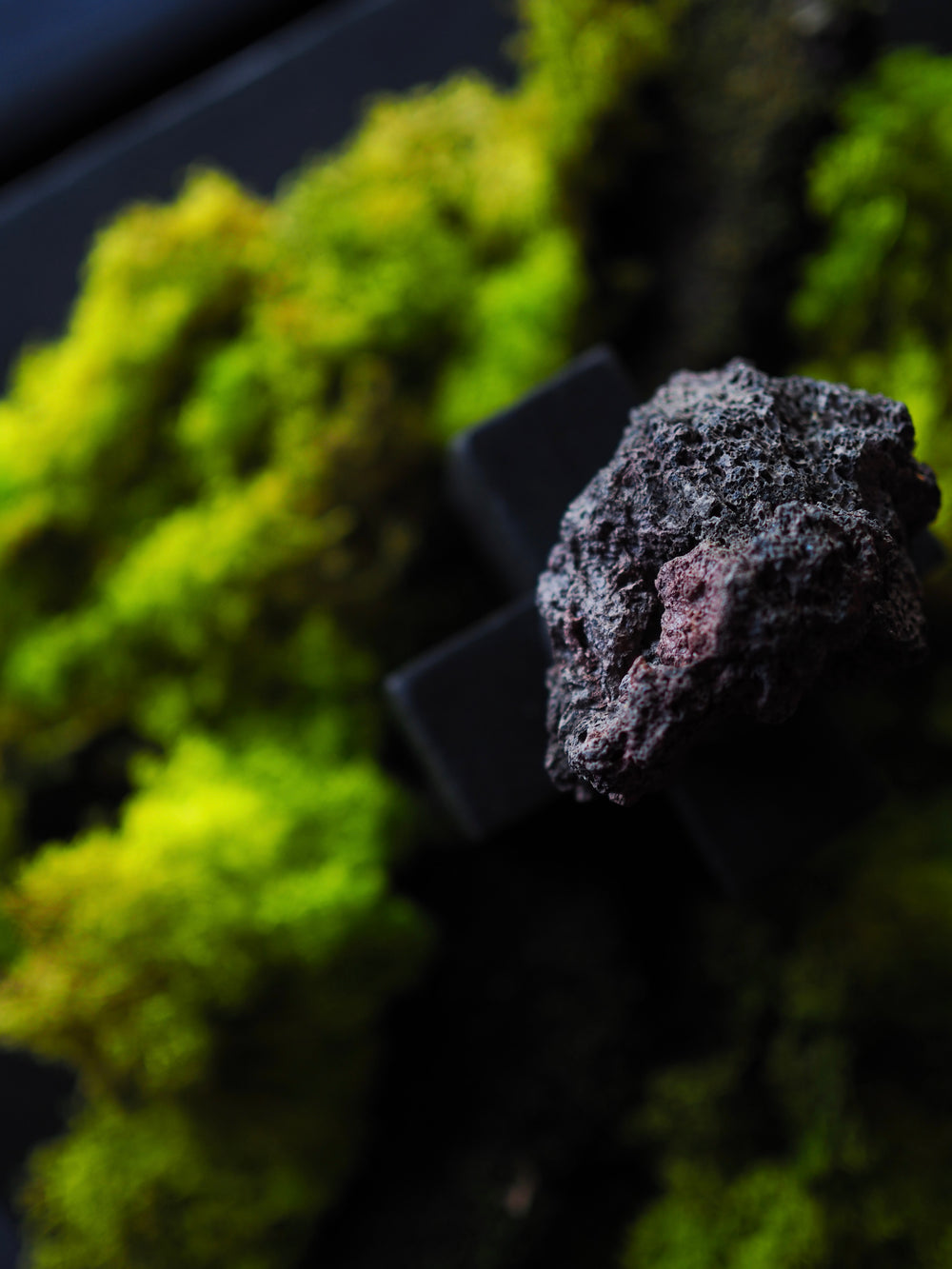 Public Record x Sari - PR VII, Perfum D'ambience launch - Gallery Image