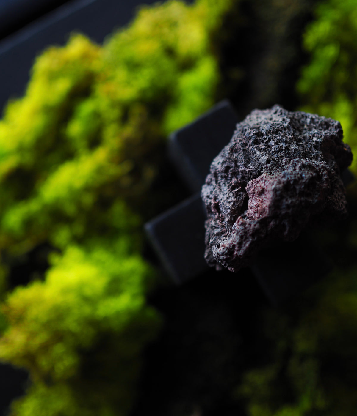 Public Record x Sari - PR VII, Perfum D'ambience launch - Gallery Image