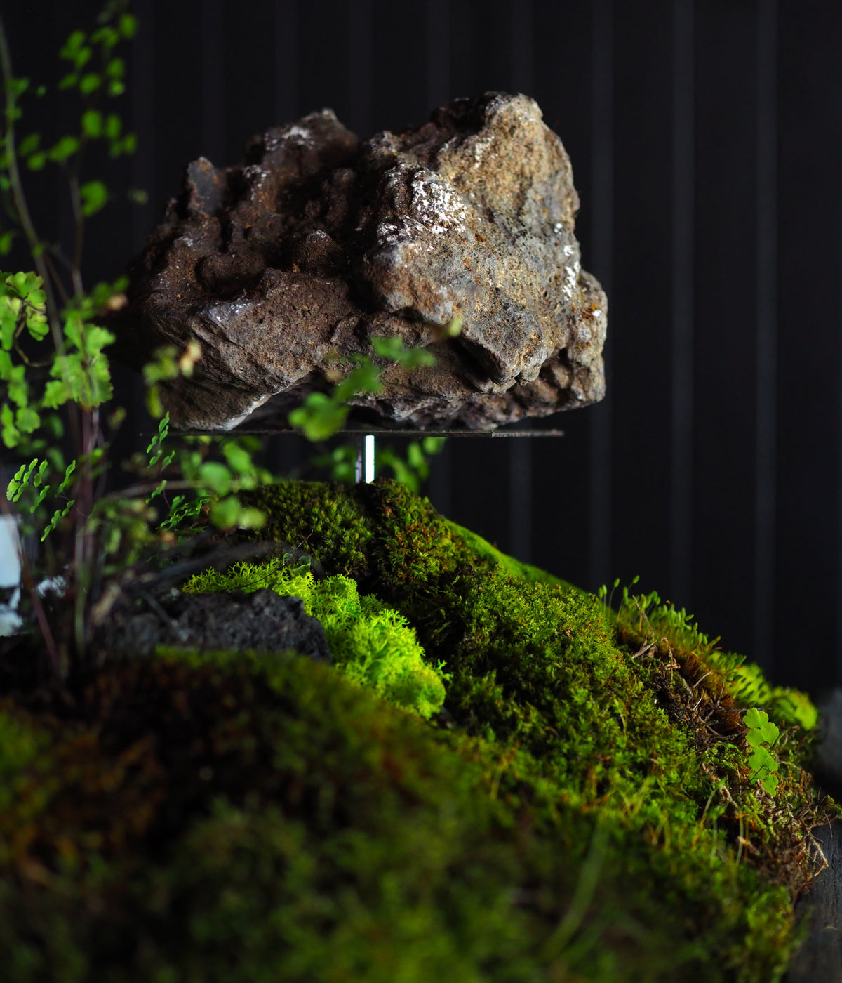 Public Record x Sari - PR VII, Perfum D'ambience launch - Gallery Image