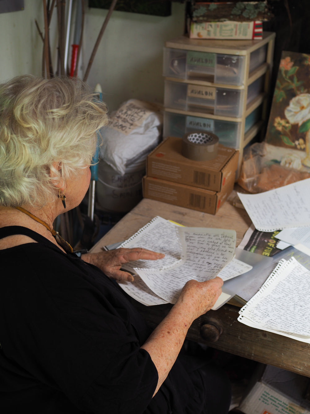 Bronwynne Cornish & Deborah Smith  -   The Departure Lounge & Conversation with Stones - Gallery Image