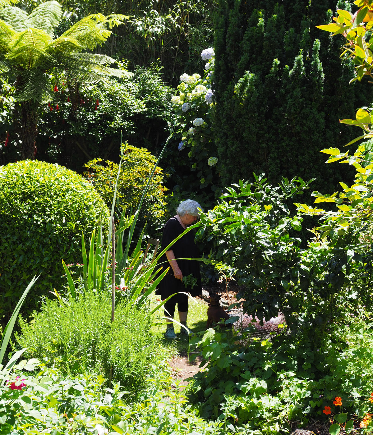 Bronwynne Cornish - Dec 25' - Gallery Image