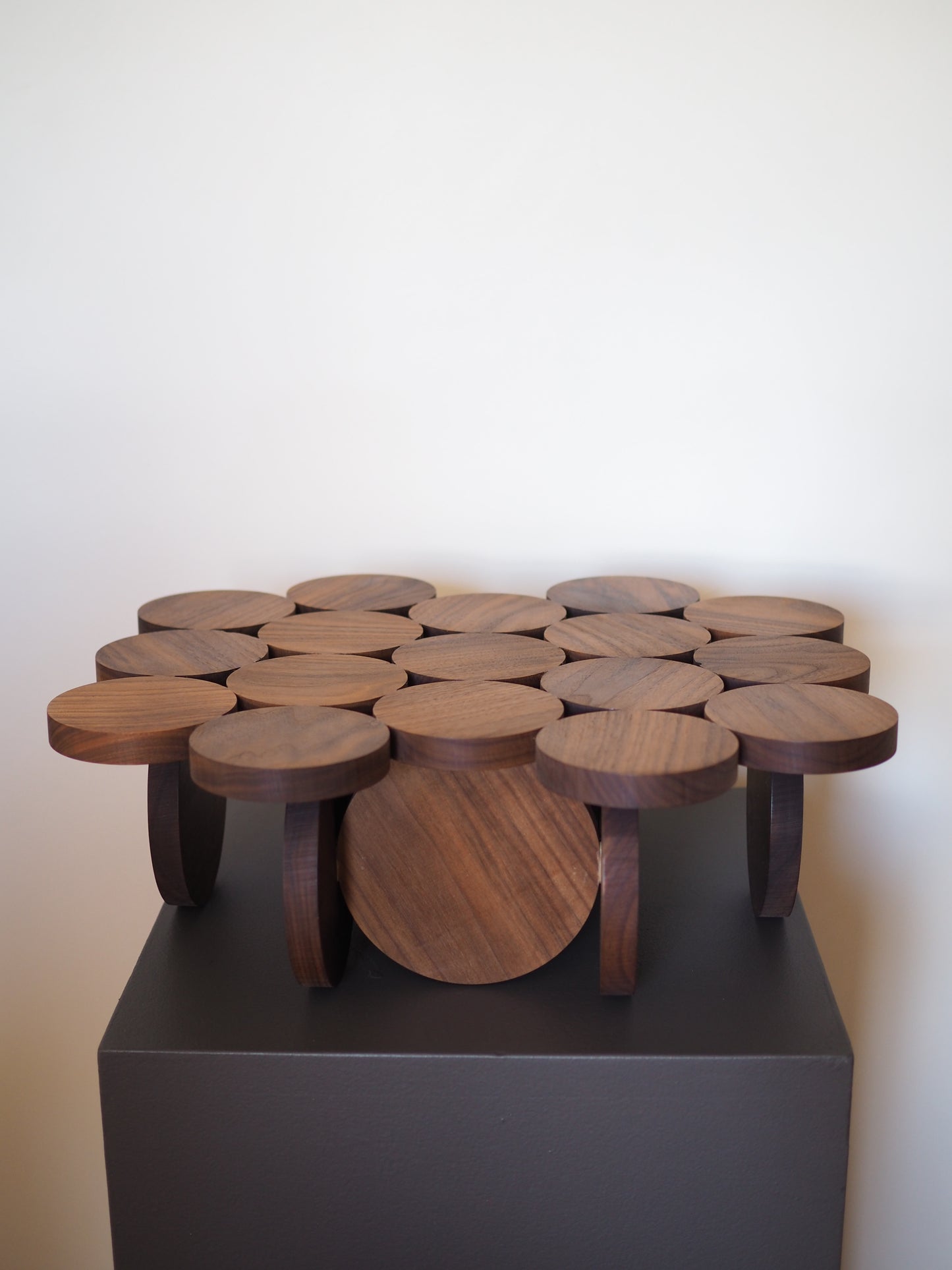 Emergent Form xi