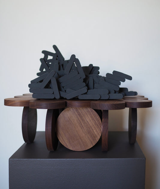 Emergent Form xi