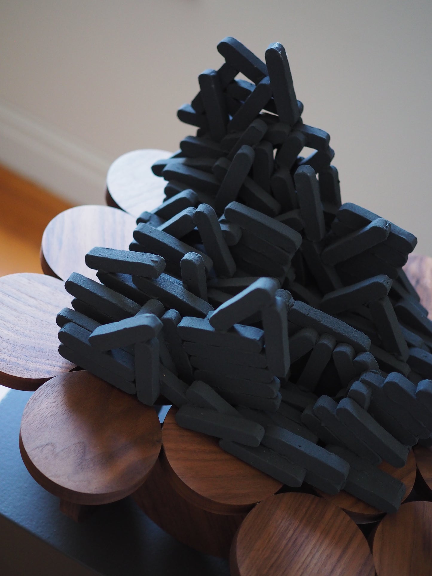 Emergent Form xi