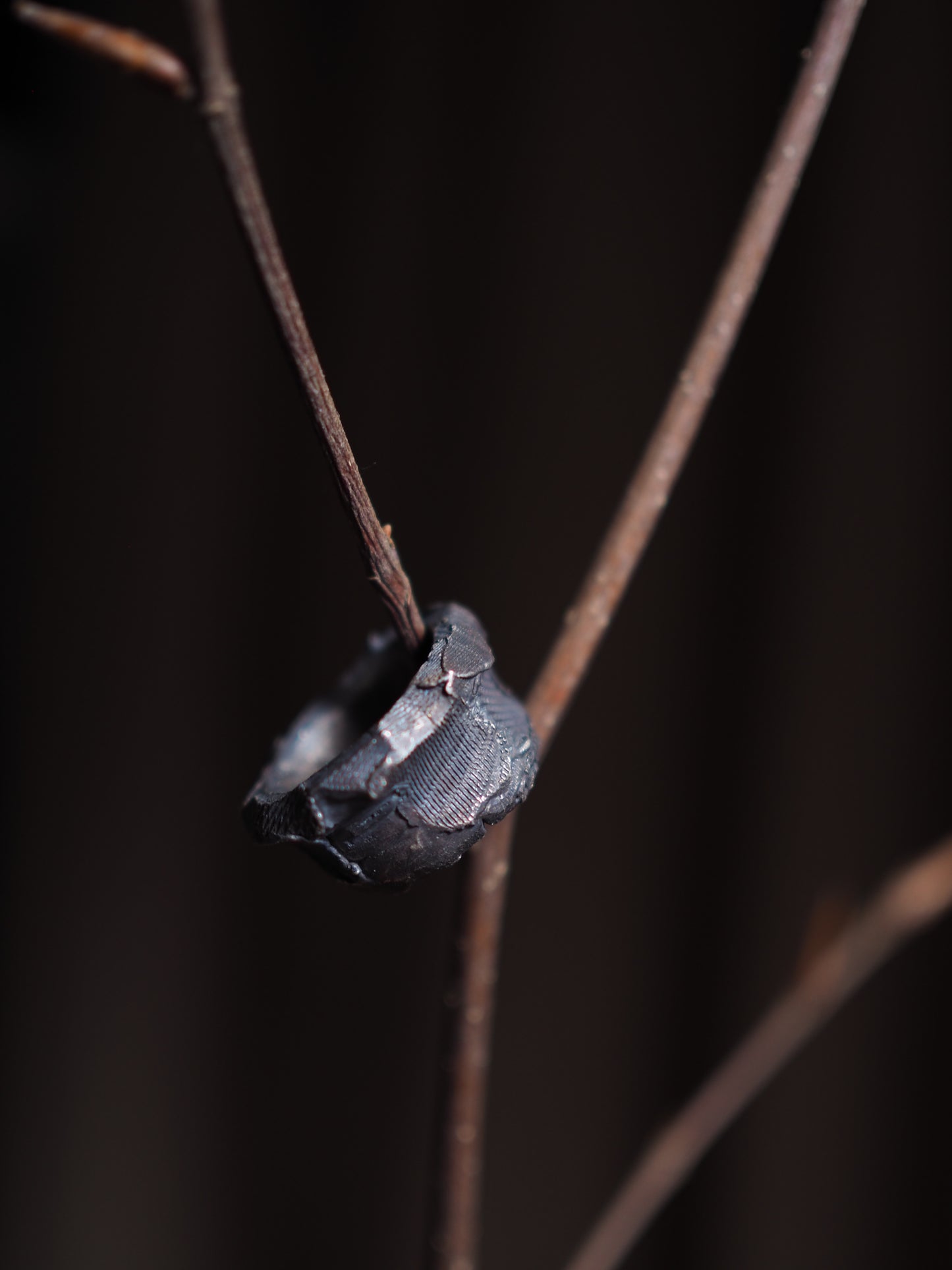 Ring ver.9