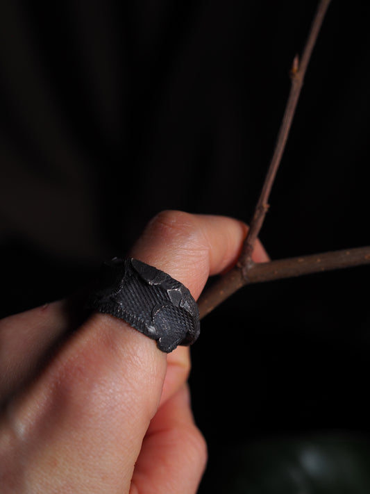 Ring ver.9