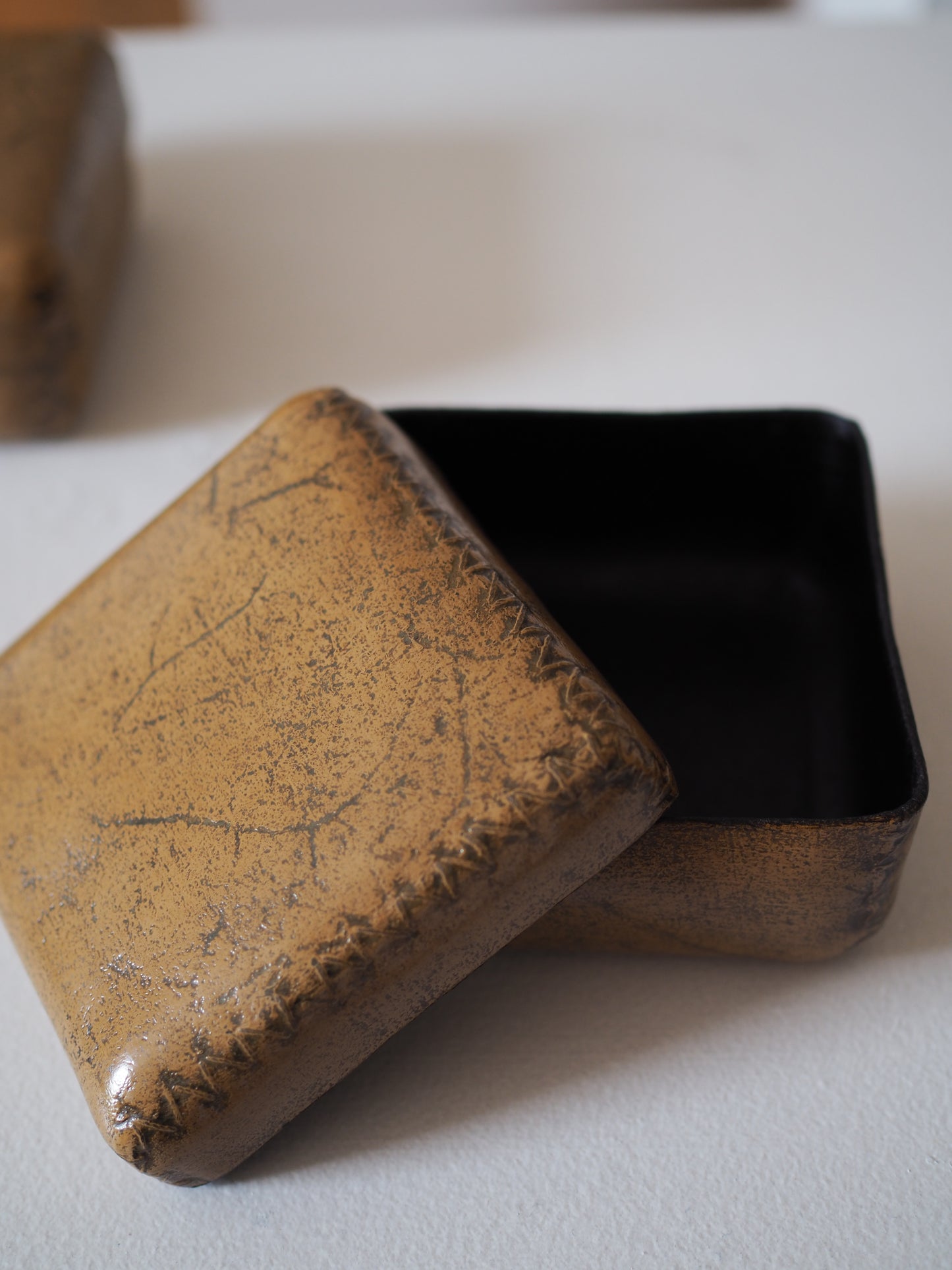 Leather canister ver.4, ver.5