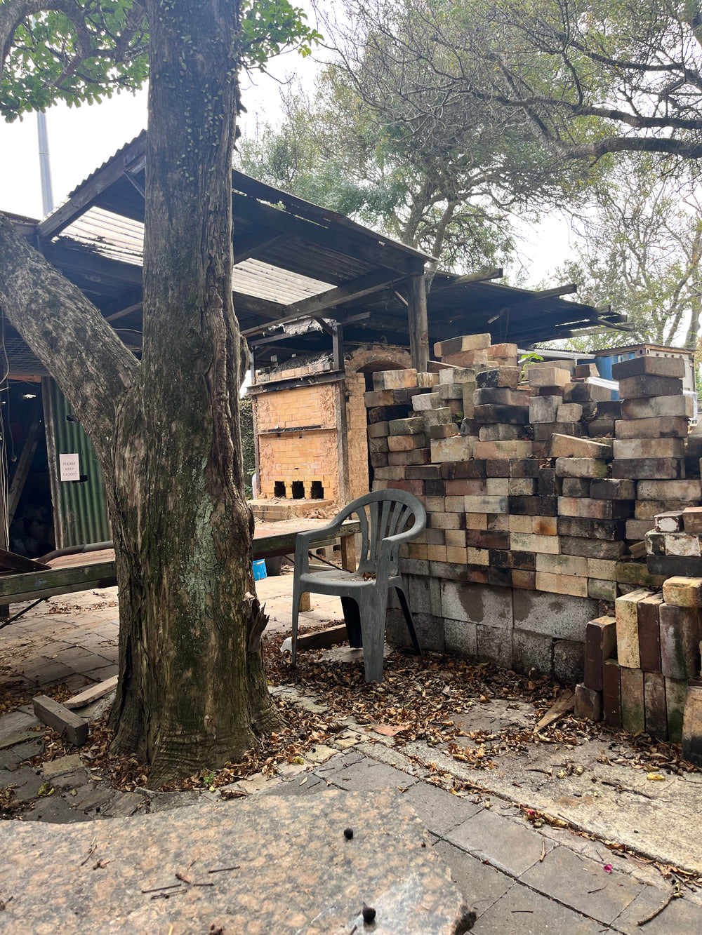 Alex Jones - The Bush in My Head - Gallery Image