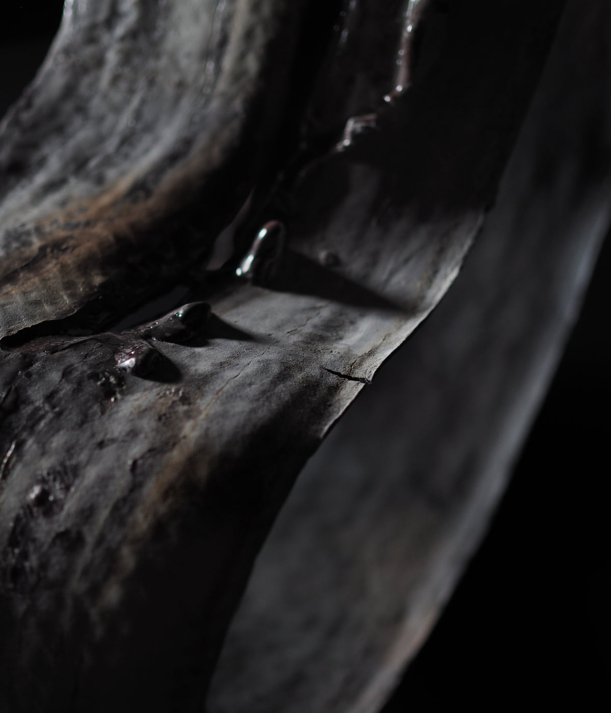 Namika Nakai - Evidence of Time, Record of Action - Gallery Image