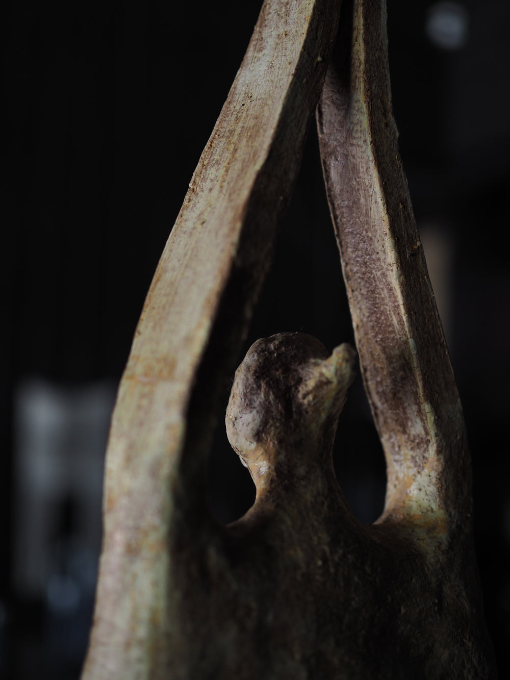 Bronwynne Cornish & Deborah Smith  -   The Departure Lounge & Conversation with Stones - Gallery Image