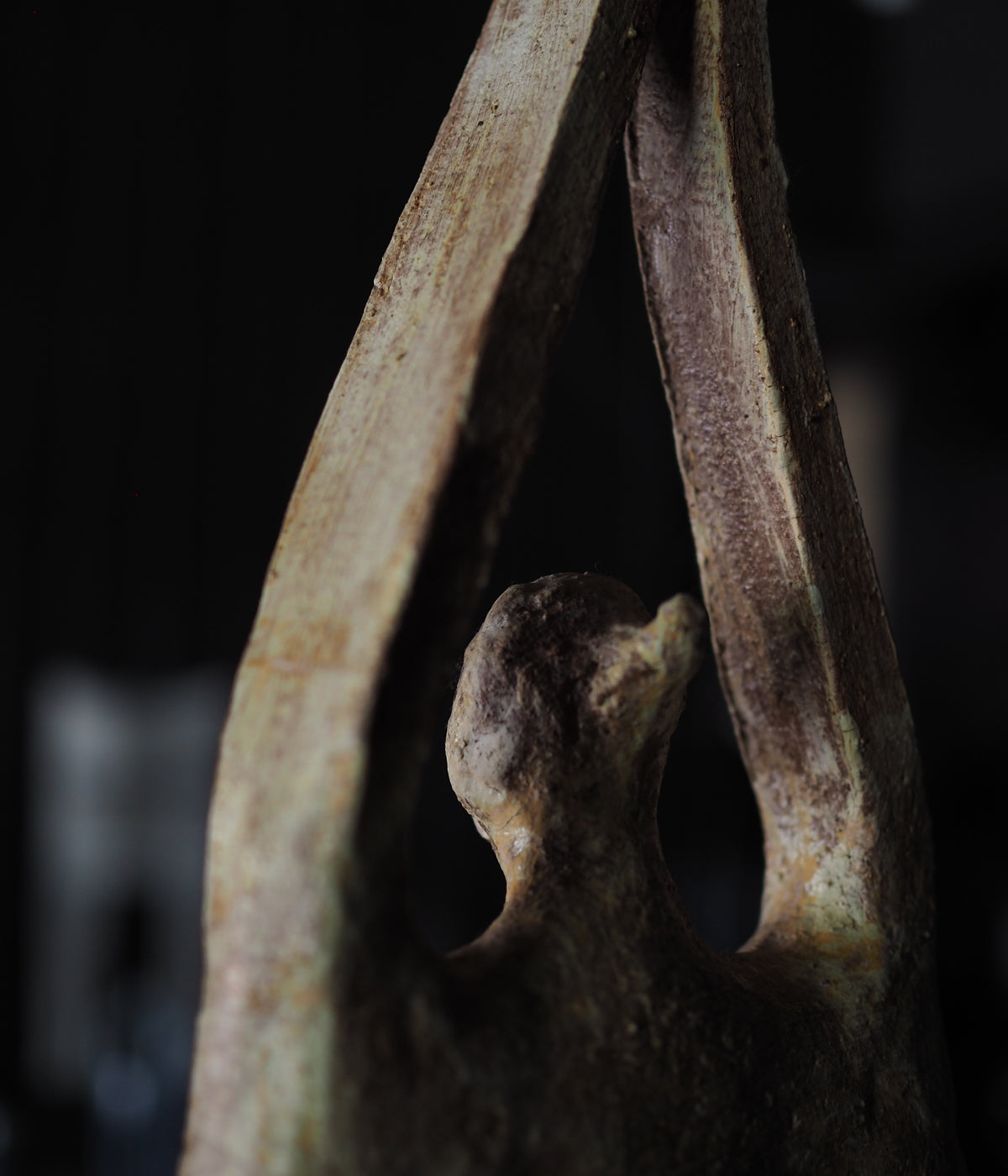 Bronwynne Cornish - Dec 25' - Gallery Image