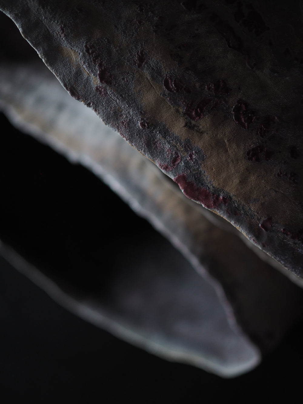 Namika Nakai - Evidence of Time, Record of Action - Gallery Image
