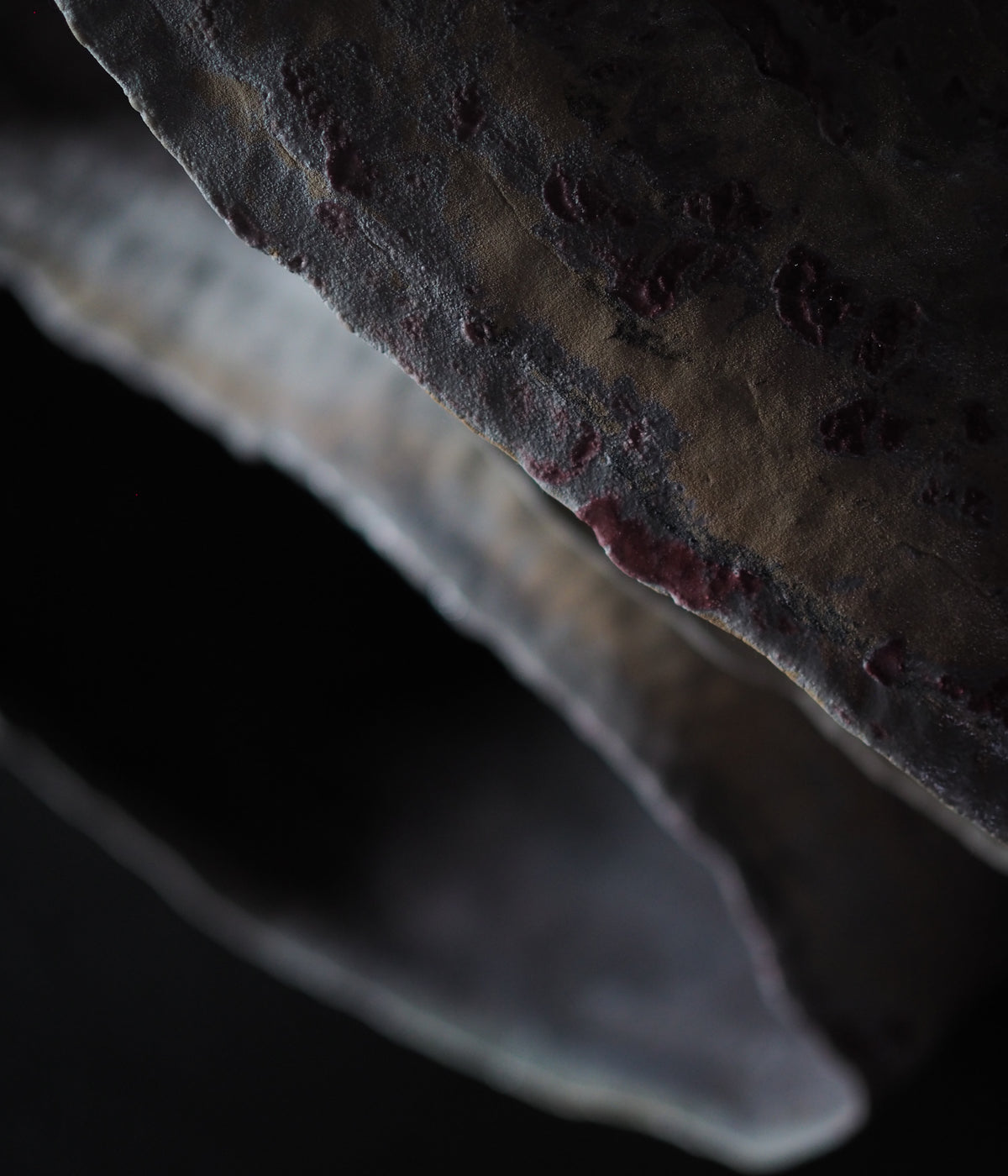Namika Nakai - Evidence of Time, Record of Action - Gallery Image