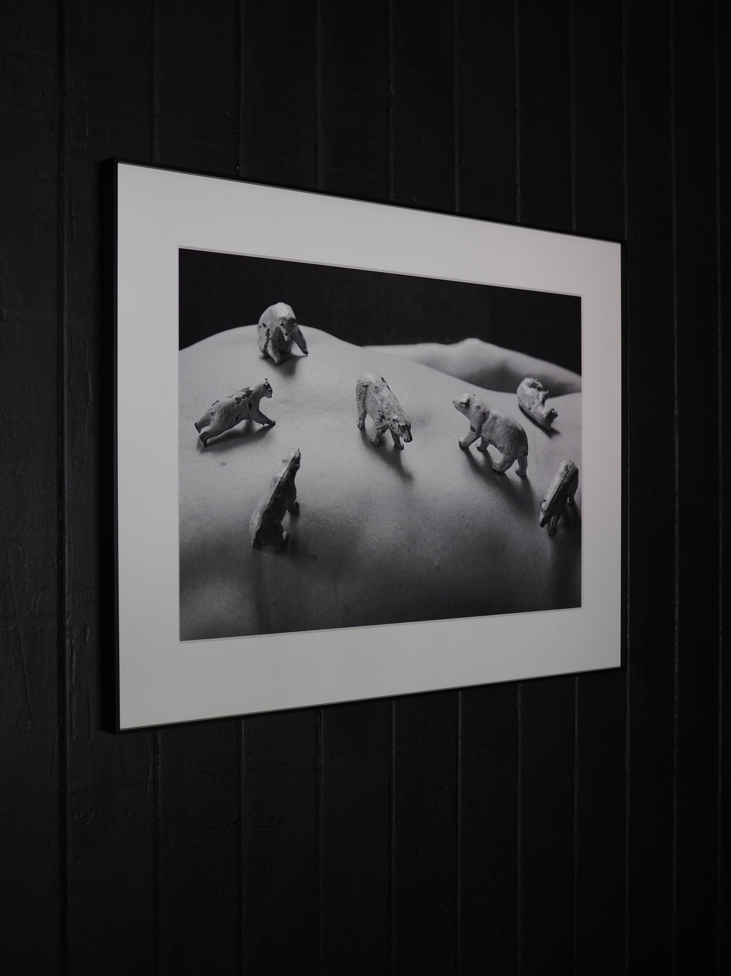 Anthropocene Blues, 2025