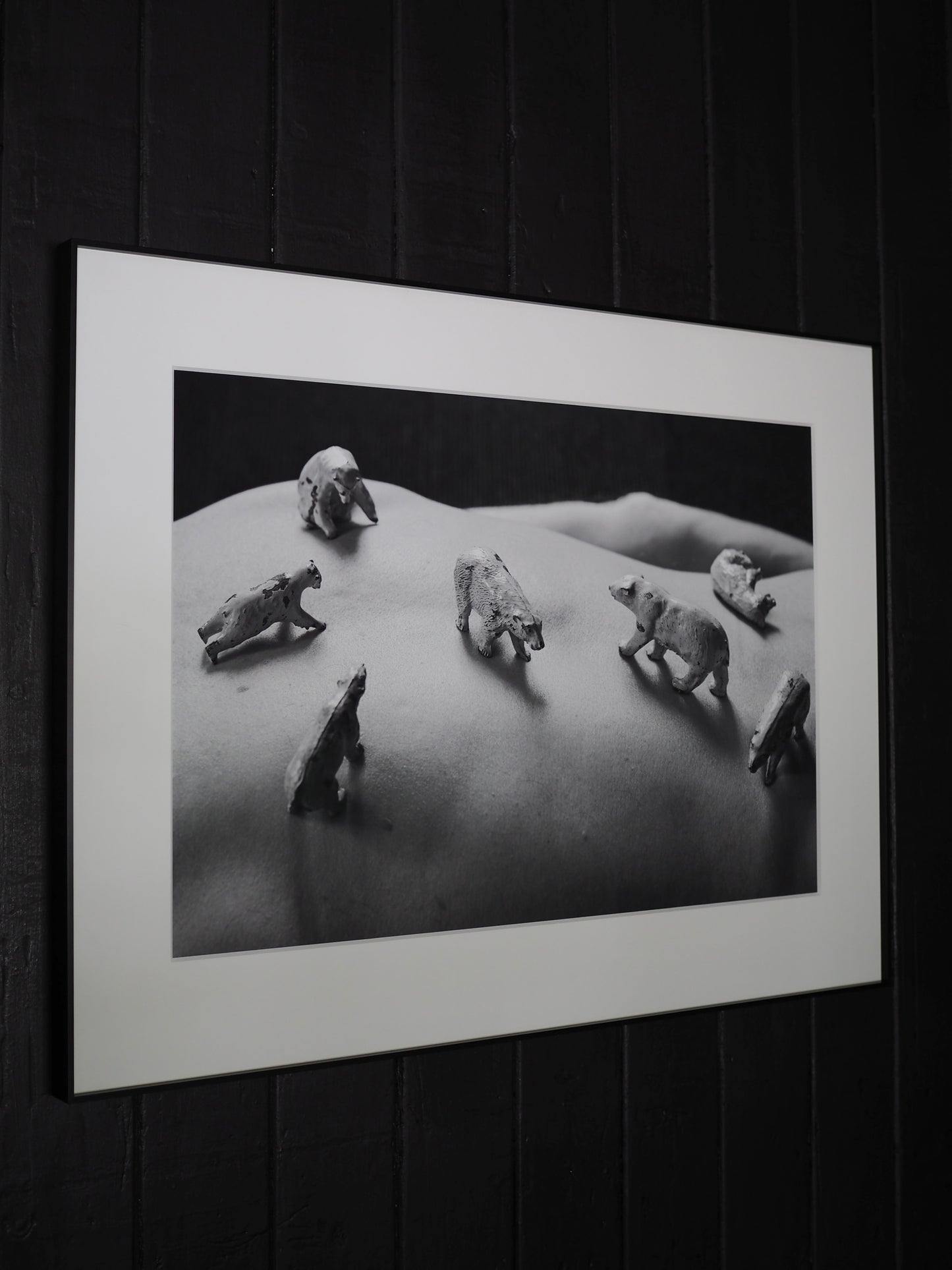 Anthropocene Blues, 2025