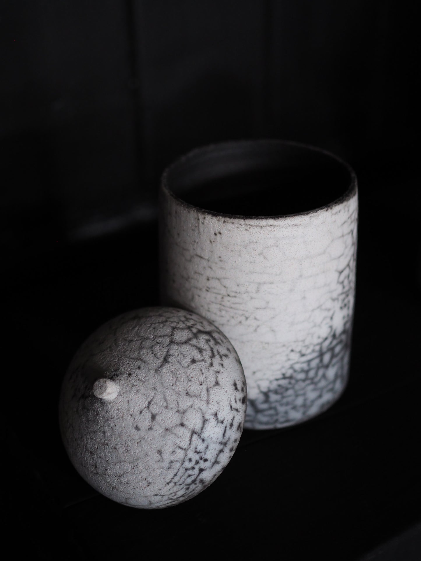 Canister - Raku ver.7, ver.8