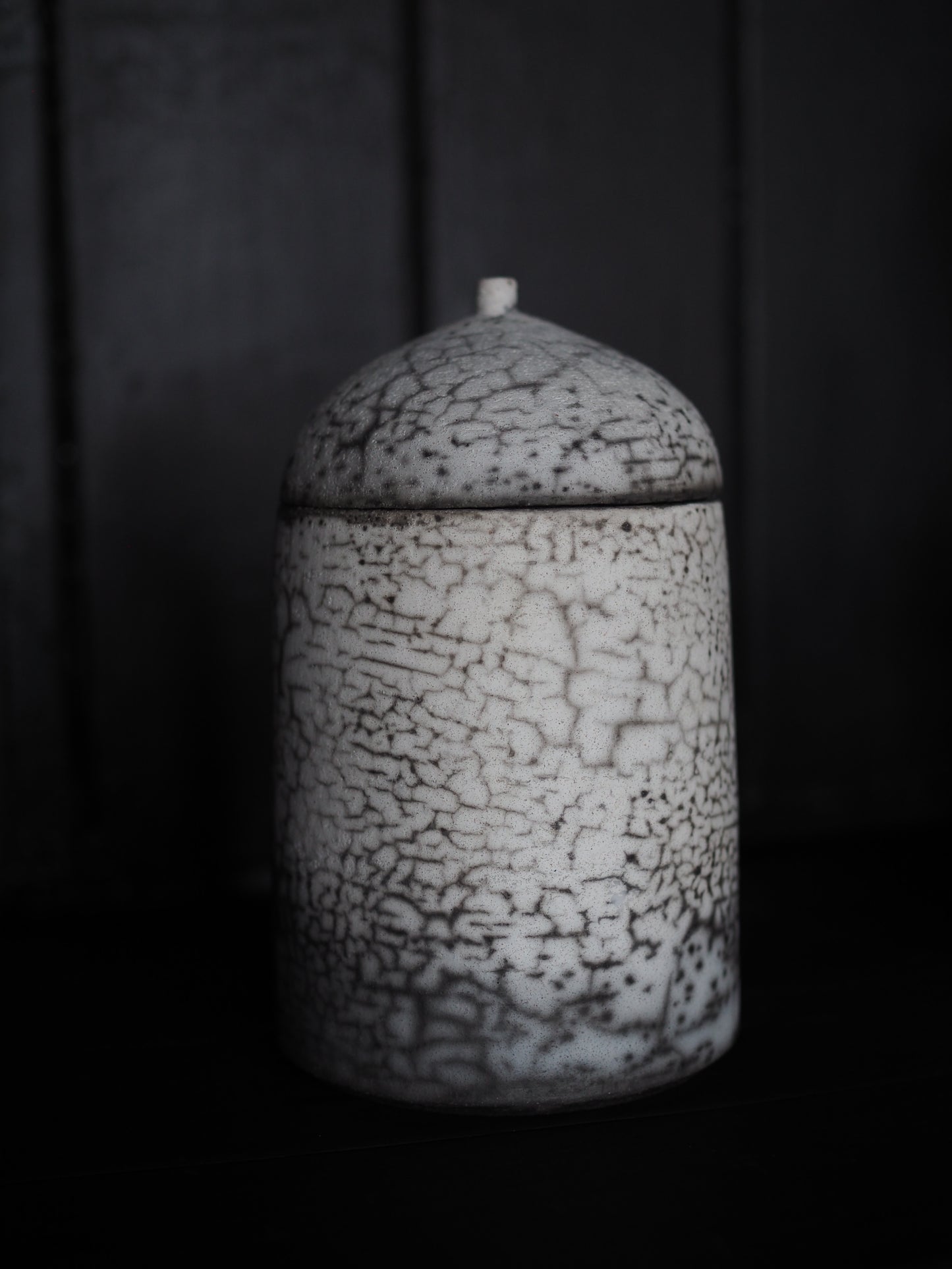 Canister - Raku ver.7, ver.8