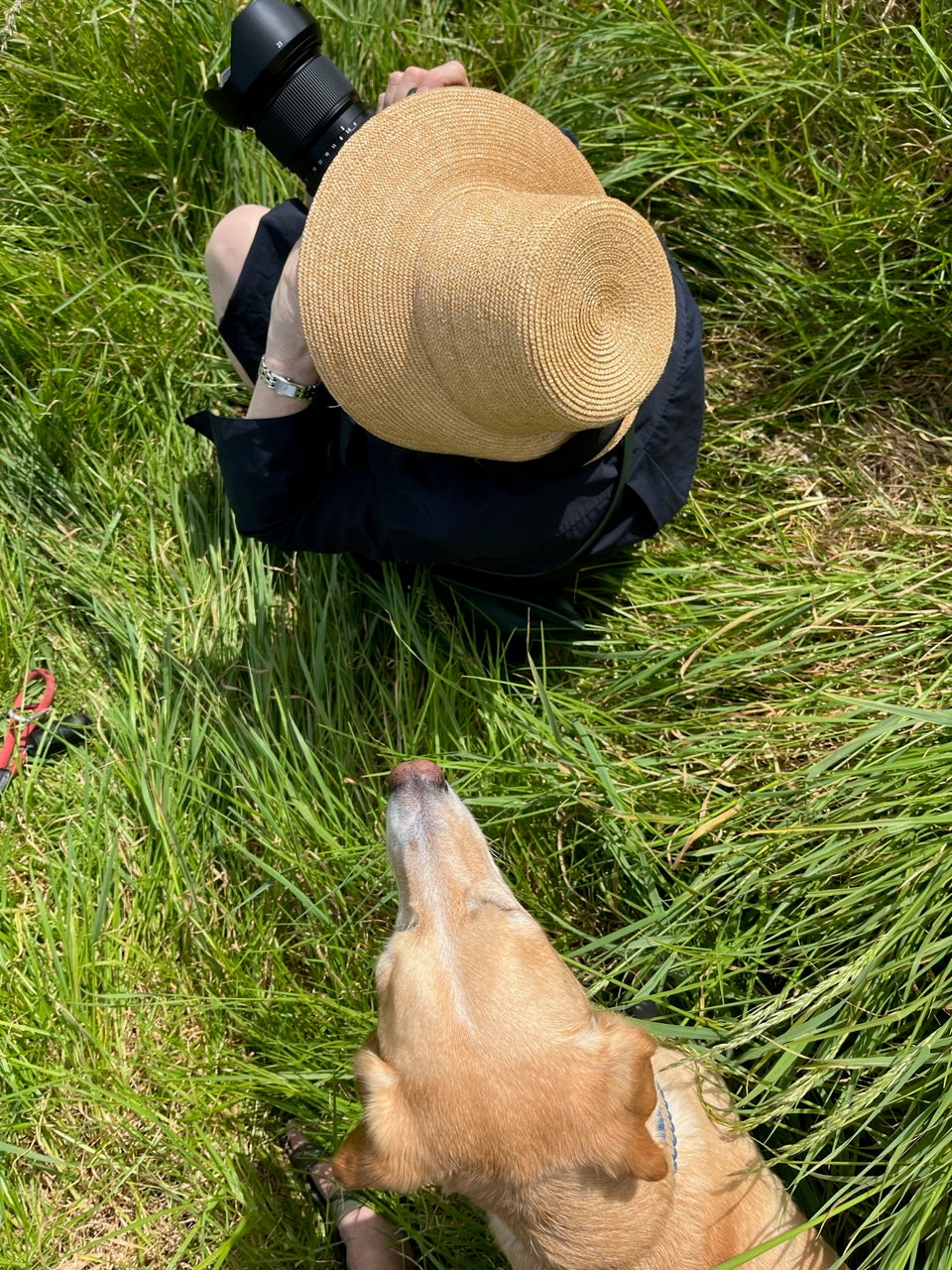 Deborah Smith - Dec 25' - Gallery Image