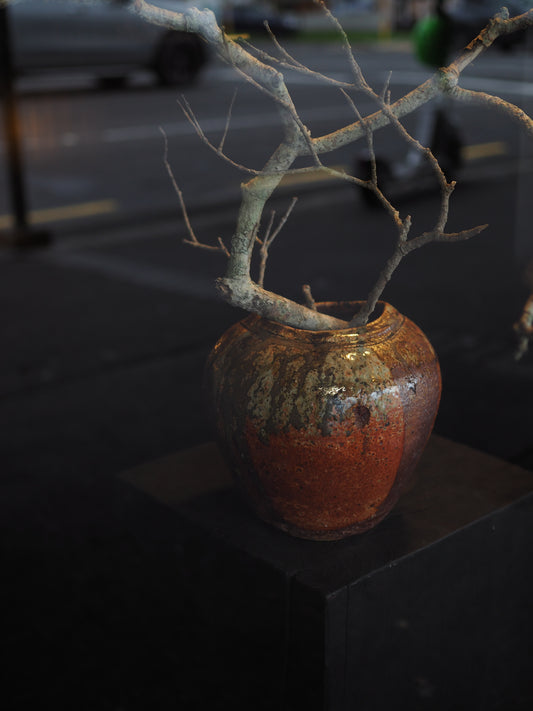 Round Vase