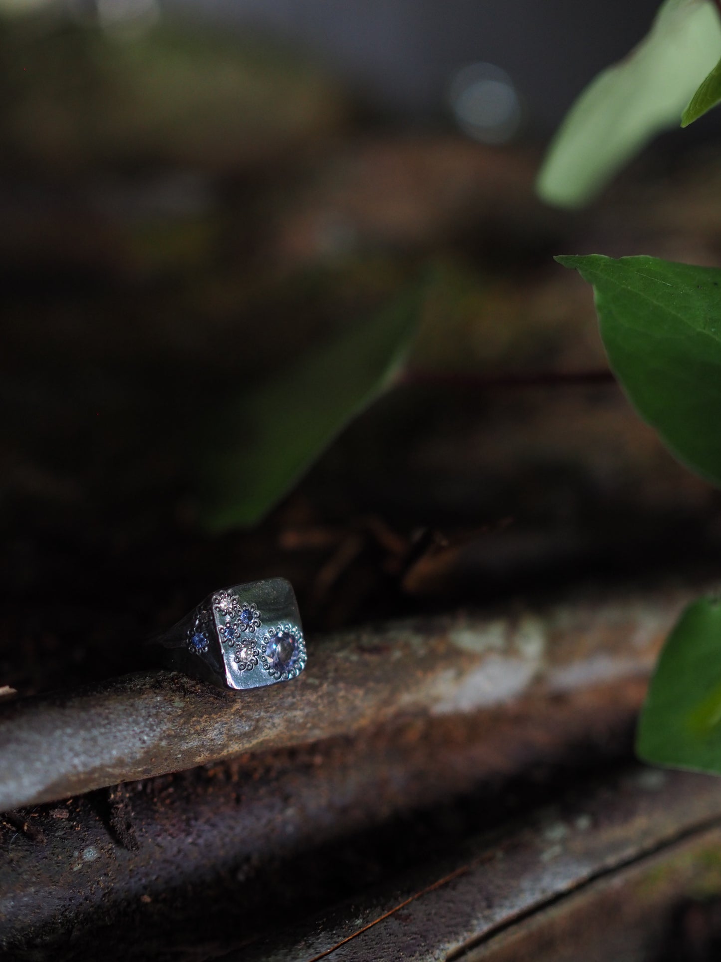 Pond Ring #3