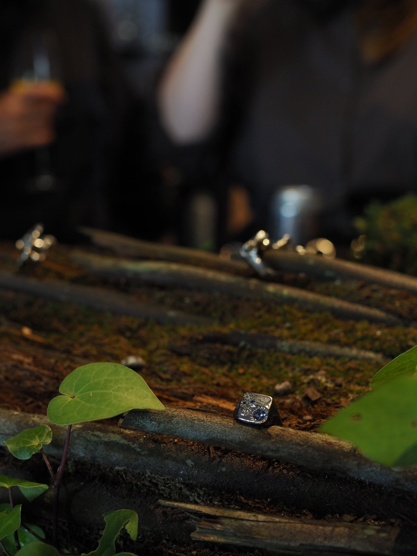 Pond Ring #3