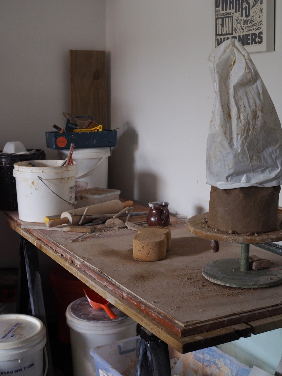 Alex Jones - The Bush in My Head - Gallery Image