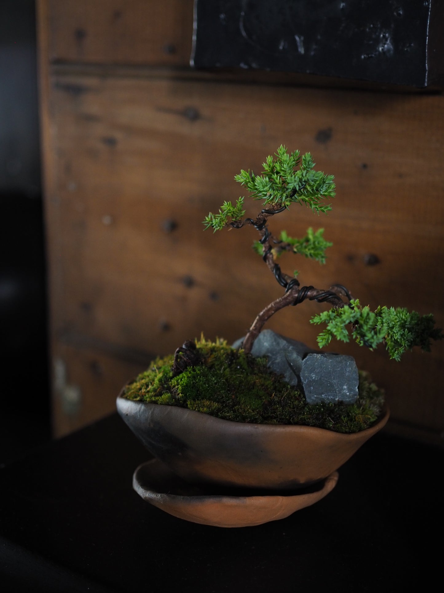 Bonsai