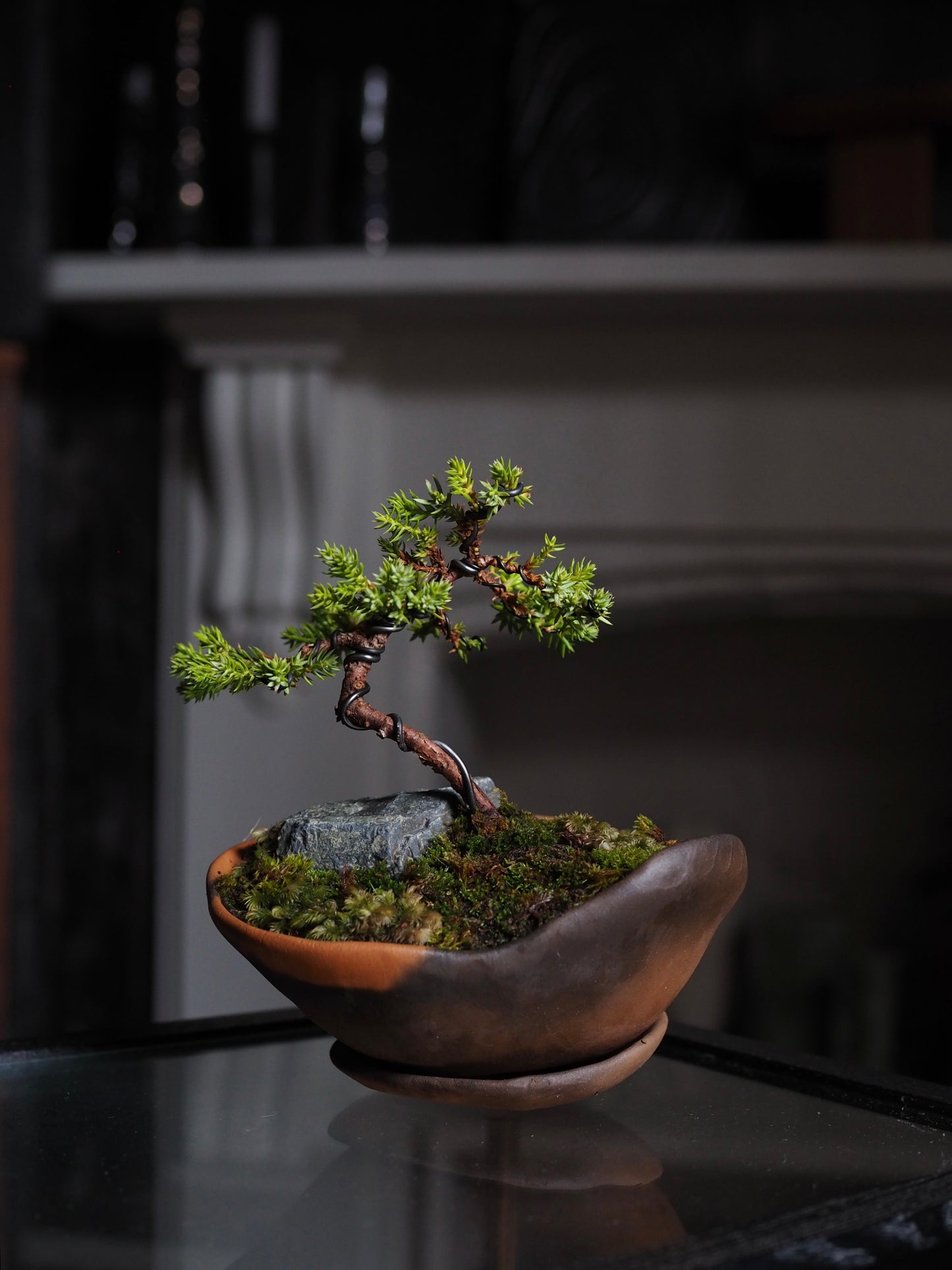 Bonsai