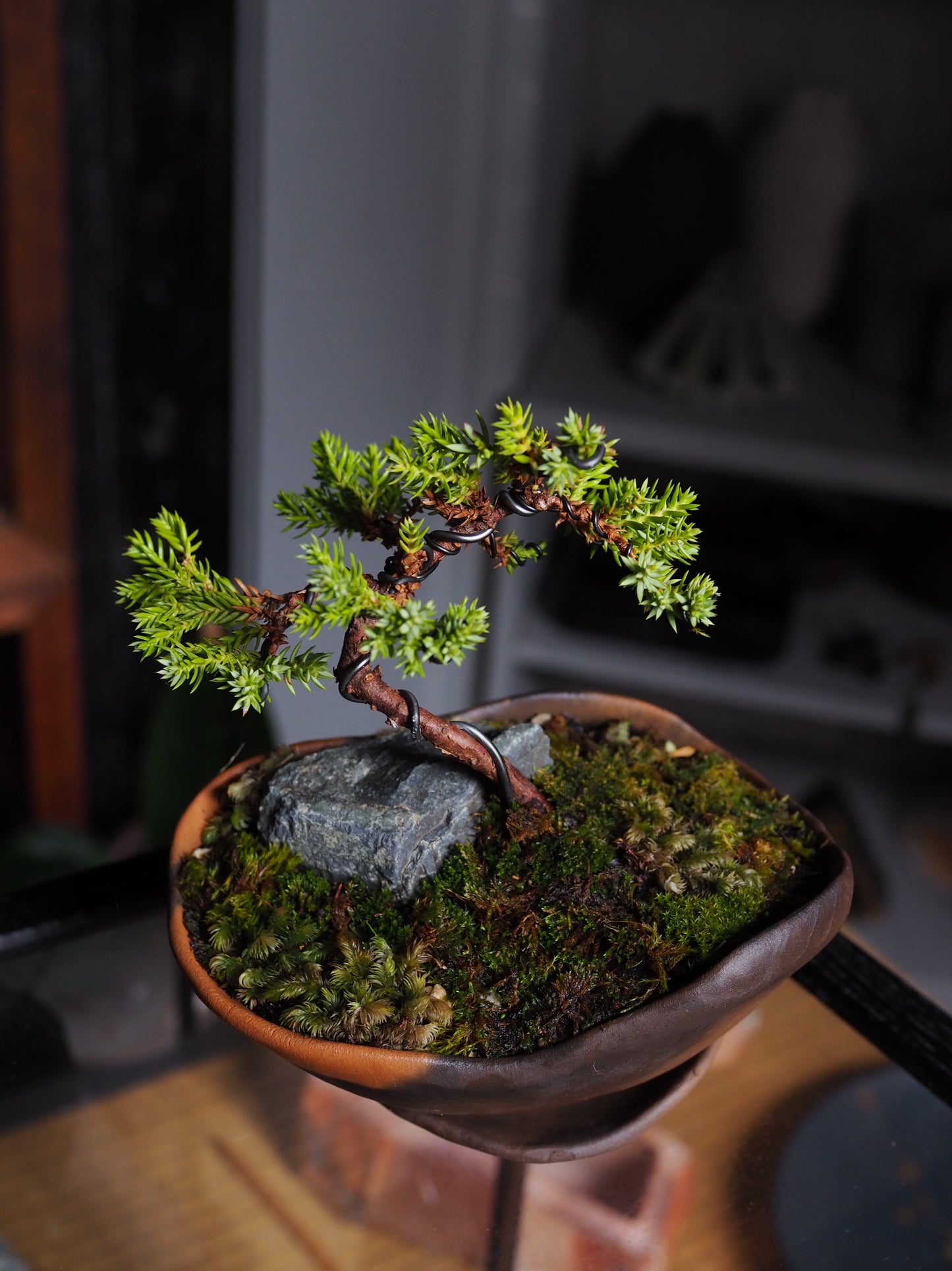 Bonsai