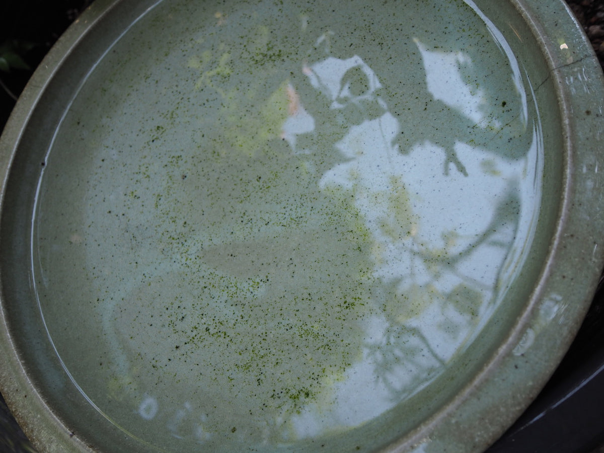 Natsumi Kobayashi - Gallery Image